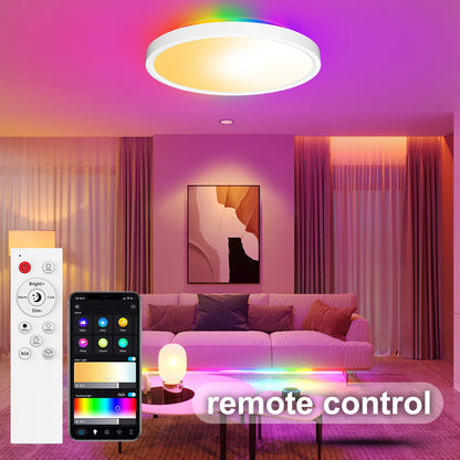 Dimmable RGB Smart Ceiling Light - 30w 12inch