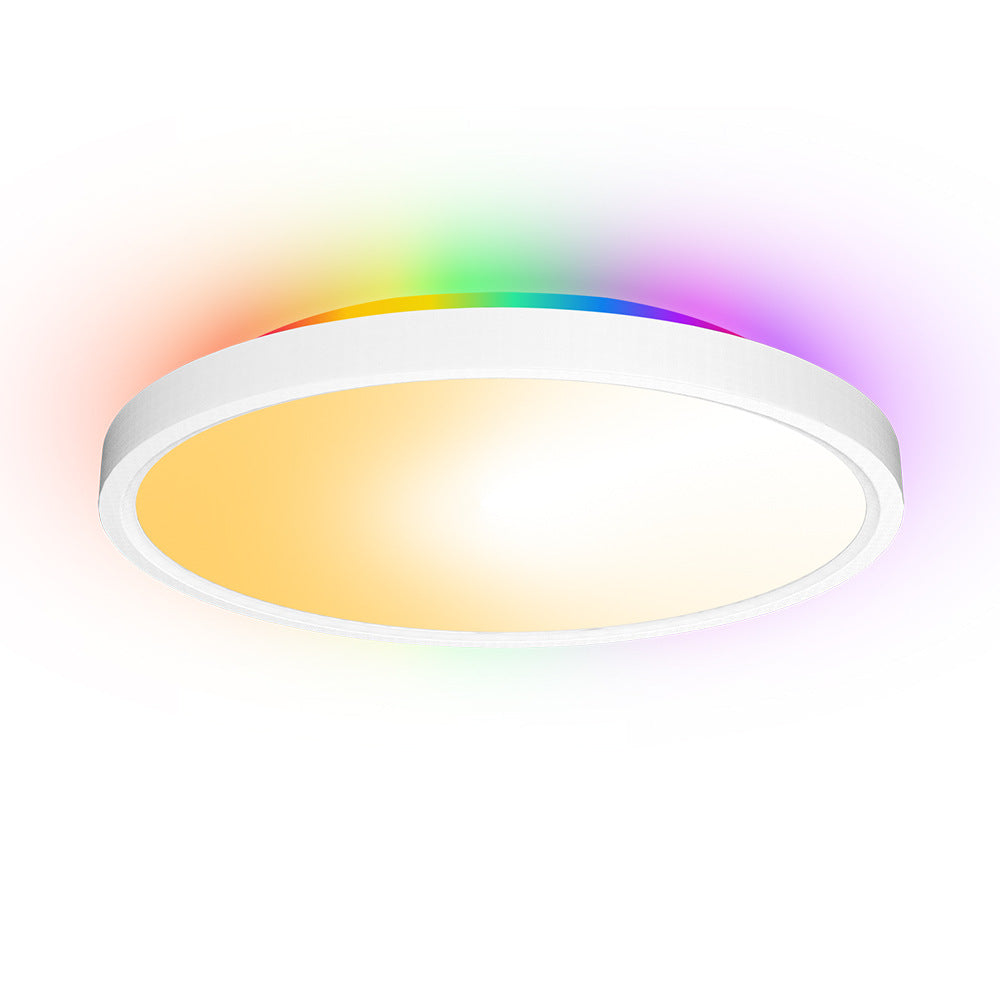 Dimmable RGB Smart Ceiling Light - 30w 12inch