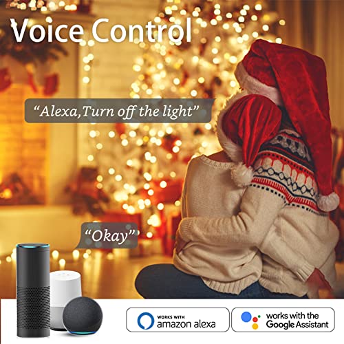 Alexa controlled christmas hot sale lights